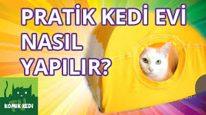 Kendin Yap Diy Projeleri Panosundaki Pin