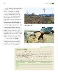 Ciencias naturales libro de primaria grado 5 catálogo de libros de educación básica. Tema 3 Las Prioridades Ambientales Ayuda Para Tu Tarea De Ciencias Naturales Sep Primaria Quinto Respuestas Y Explicaciones