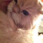 Magnettafel Shabby Betonoptik Memoboard Panorama Hoch Magnettafel Betonoptik Memoboard