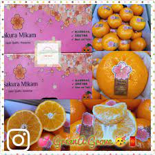 Pre-Order) Japan Variety Premium Sakura Mikam Mandarins 日本品种特秀樱花蜜柑 12 Pcs  in a Premium Gift Box (Size: XL) – GreenA Grove