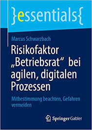 In betrieben mit in der regel mindestens fünf. Risikofaktor Betriebsrat Bei Agilen Digitalen Prozessen Mitbestimmung Beachten Gefahren Vermeiden Essentials Schwarzbach Marcus Amazon De Bucher