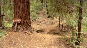 Check spelling or type a new query. Fall Creek Big Ben Loop Modern Hiker