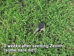 It can also be used on slopes to prevent erosion. Seeding A Zenith Zoysia Lawn With Soil3
