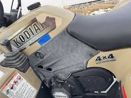 Image result for Dark Argent 2002 Kodiak