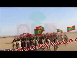 Download and convert keekiyyaa badhanee to mp3 and mp4 for free. Download Badhaanee Wbo Music 2020 3gp Mp4 Codedwap