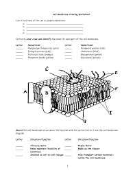 Cell Membrane Worksheet Cell Membrane Coloring Worksheet Cell Membrane Color Worksheets