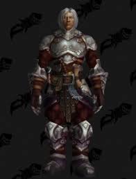 Spend $1 usd gets 1 points, apply 1 point save $0.03 usd. Goblin Slayer No Helm Outfit World Of Warcraft