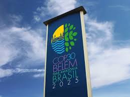 Comienza la cumbre climática: qué puede aportar Argentina