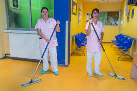 Services collectifs et sociaux, services à la personne. Agent De Service Hospitalier Ash Des Passerelles Pour Devenir Aide Soignant