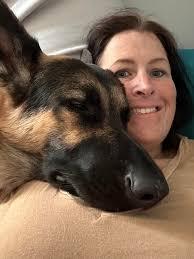 Neutering a Two-Year-Old German Shepherd