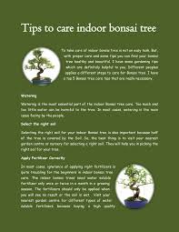 Though it does need proper care and attention, don't let that intimidate you. Tips To Care Indoor Bonsai Tree