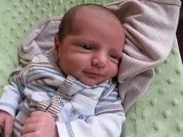 The University of Scranton Class Note Export with Photos