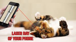 How many points will you gain in 100 seconds? Amazon Com Laser Pointer For Cat Free Appstore For Android