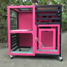 Kucing asal luar negeri sangat jinak dan ramah tamah kepada pemiliknya. 5 Rekomendasi Desain Kandang Kucing Persia Minimalis