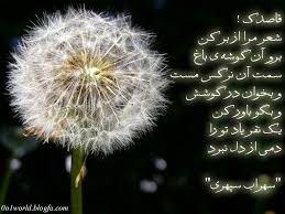 images?q=tbn:ANd9GcQQ0sxSJtnugeZKl_BlyDftCULt1xzL-yJkS0QQrmdh9pIcUlyY