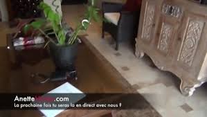 Watch livingroom homemade pleasure !! Amateur Vrai A Few Newbie Dump Les Voyeur Fit Moi Pleasure Cam Porn300
