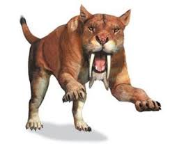 Saber Tooth Tiger Facts For Kids - Best For School Research Projects