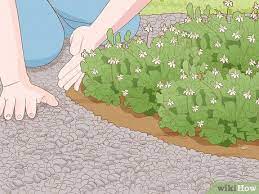 Maybe you would like to learn more about one of these? 3 Ways To Pebble A Garden Wikihow