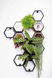 The natural solutions for living walls are becoming increasingly important, both in the commercial and private architectural field and in the advertising field. Horticus Modular Living Wall Breathes Life Into Any Interior