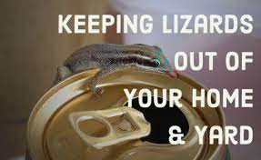 How To Get Rid Of Lizards Get Rid Of Lizards Lizard Small Lizards