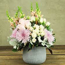 Read our reviews on facebook and google. Pretty Pink Mauve Flowers In Pot Flowers For Everyone