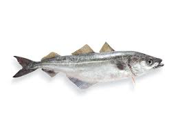 9,251 миб 320 кбит/c 4:01. Meeresfische Port Culinaire Gmbh