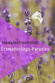 Insektenfreundlicher Garten Bunt Wild Schon Garteneuphorie Bienenfreundliche Pflanzen Schmetterlingsgarten Schmetterlingspflanzen
