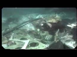 The report on passenger susan hill, a homicide detective. Twa Flight 800 Salvage Youtube