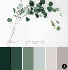 A Eucalyptus Inspired Color Palette Nature Color Palette Green Colour Palette House Colors