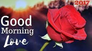 Good morning love flowers for my wife. Good Morning My Love Morning Quotes With Pictures Of Flowers For Husband Or Wife Youtube