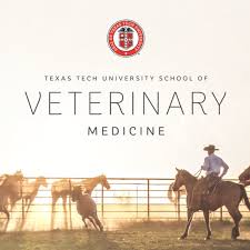 12105 indiana ave, lubbock, tx 79423, usa address. Amarillo Matters Announces 50k In Support For Texas Tech Vet School For Lubbock Community Kvii