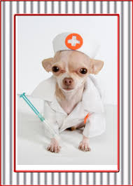 The air signs have a mental nature and are keen witted. Cancer Is A Threat To Animals Too How To Help Animal Shelters