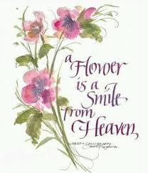 Image Result For Short Quotes About Flowers To Paint On A Board Flower Quotes Garden Quotes Beautiful Flowers