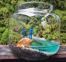 Murat Cinar Adli Kullanicinin Terrarium Panosundaki Pin Teraryumlar Terrarium Ve Bahcecilik