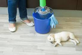 4 best pet safe floor cleaners: which