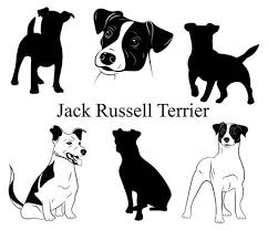 All right reserved about each tutorial by the creator member. Jack Russell Cliparts Stock Vector And Royalty Free Jack Russell Illustrations