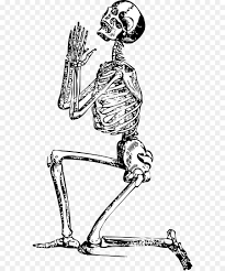 Download halloween skeleton cartoon and use any clip art,coloring,png graphics in your website, document or presentation. Human Skull Drawing