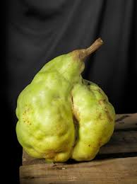 Pommes Oubliees 16 Varietes Anciennes De Fruits Pomme Fruits Poire