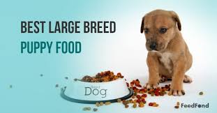 20 Best Large Breed Puppy Foods In 2019 Feedfond