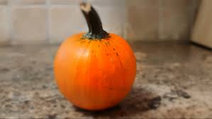 This belief is in agreement with and probably has been influenced by whitcomb and morris (1961, p. Here S How To Cook And Eat Your Leftover Decorative Gourds
