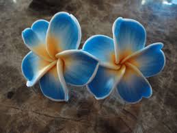 Aloha Hawaiin Style Plumeria Flower Post By Goingbizerklee Hawaiin Flowers Plumeria Flowers Plumeria