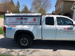 Pest control richmond hill for homes and businesses, we provide pest control to residential and commercial properties across the richmond hill area, our pest protection program keeps your home or business protected from. Best Pest Control Toronto Fast Safe Pest Removal Pest Zone