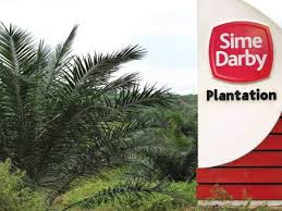 With 24 active townships/developments, sime darby property has a wide reach that encompasses assets and operations across the country. Pekerjaan Sektor Ladang Sawit Terjamin Bukan Lagi 3d