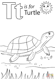 Buzzfeed staff essence magazine is offering a new beauty service to give its subscribers the opportunity to try products specifically tailored to their needs. T Is For Turtle Coloring Page Free Printable Coloring Pages Turtle Coloring Pages Kindergarten Coloring Pages Abc Coloring Pages