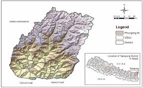 Fig trees at food forest farm figloo winter greenhouse. Sustainability Free Full Text Are Traditional Food Crops Really Future Smart Foods A Sustainability Perspective Html
