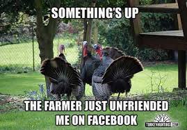 The Best Turkey Hunting Memes Only At Turkeyhunting Com