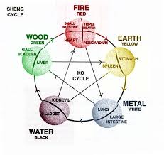 Pin De Matt Carter En Images I Like Qigong Tai Chi Acupuntura
