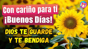 Que tengas un lindo día, con un corazón agradecido a dios. Para Ti Buenos Dias Dios Te Guarde Y Te Bendiga Youtube