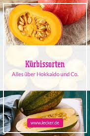 Kurbissorten Die Lieblinge Im Uberblick Lecker Patisson Kurbis Rezept Kurbissorten Patisson Kurbis