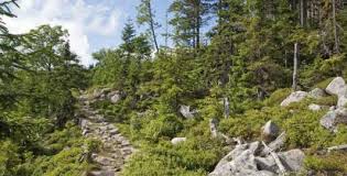 Der direktor der naturschutzorganisation „ceska krajina (tschechische landschaft) freut sich über die rückkehr der wildpferde nach böhmen. Ferienhaus Tschechien Mieten Gunstige Ferienwohnung In Tschechien Check24